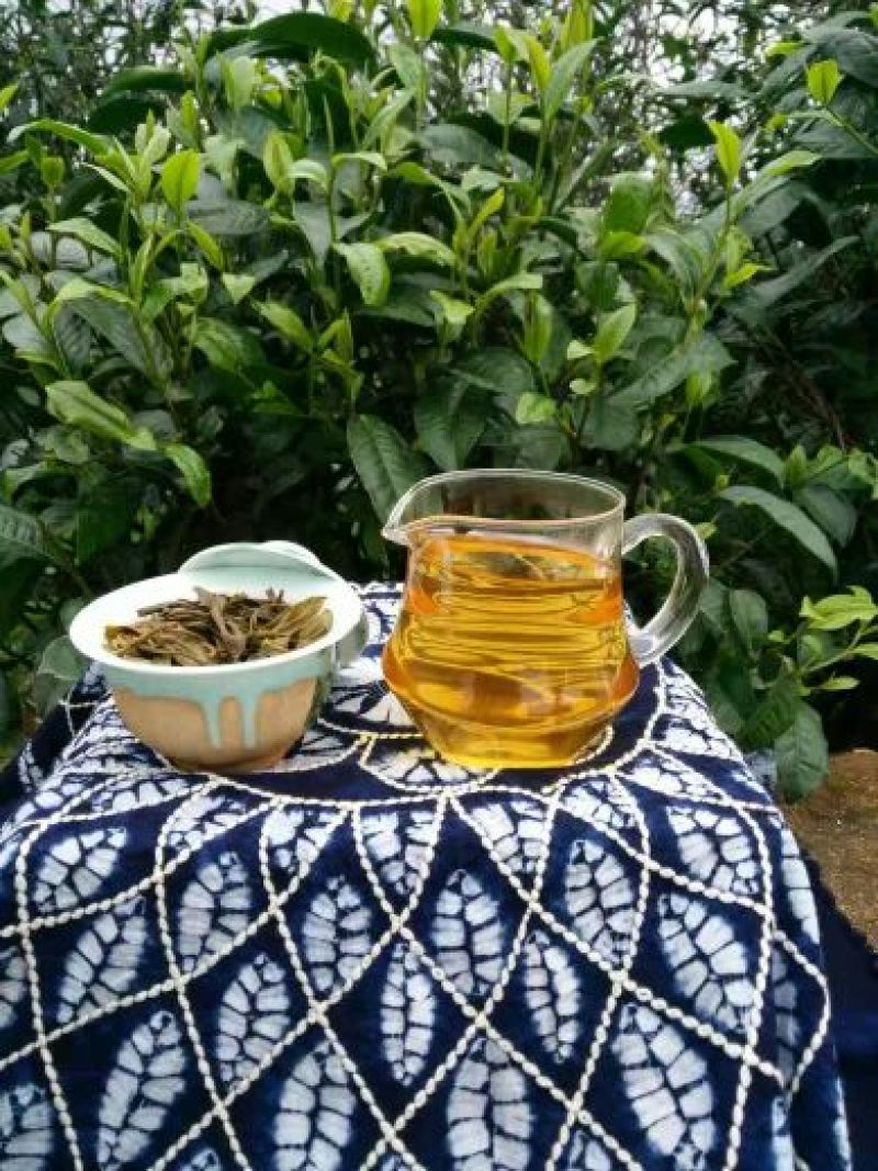 百年大树茶特级