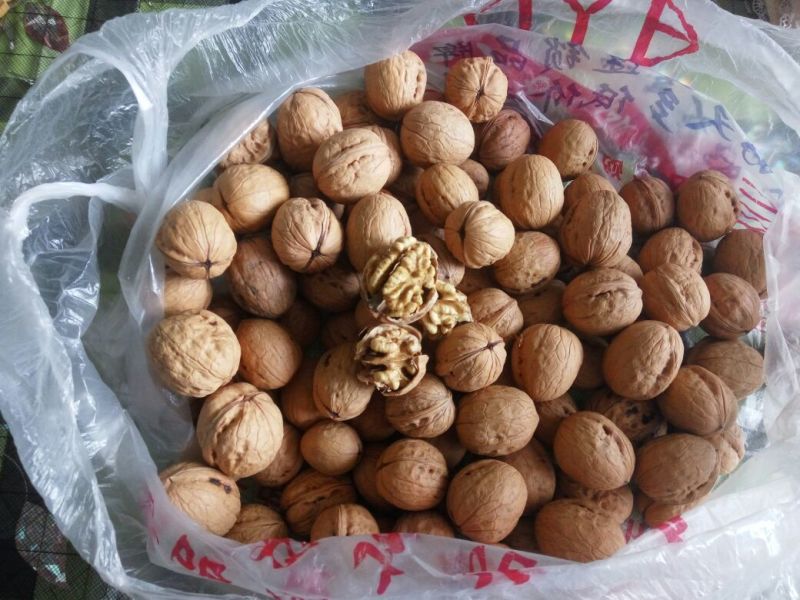 香玲核桃30mm以上去皮干