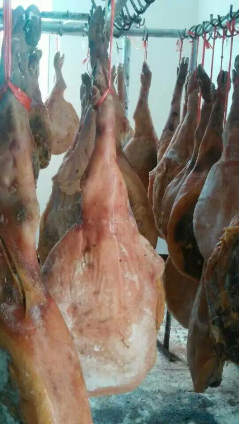 火腿
