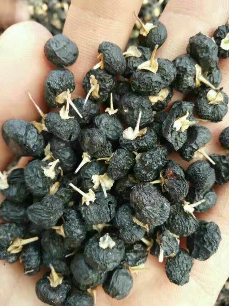 枸杞头茬