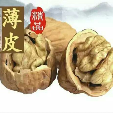 薄皮核桃去皮干
