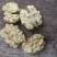 薄皮核桃去皮