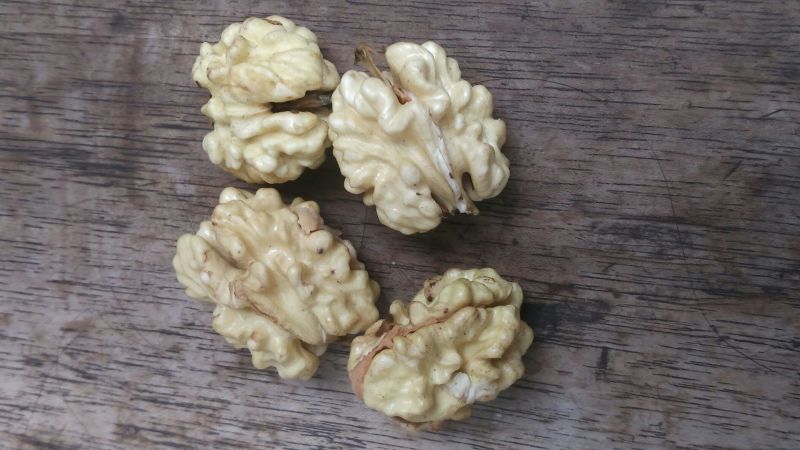 薄皮核桃去皮