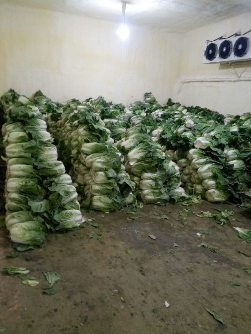 白花菜花1斤紧密乳白