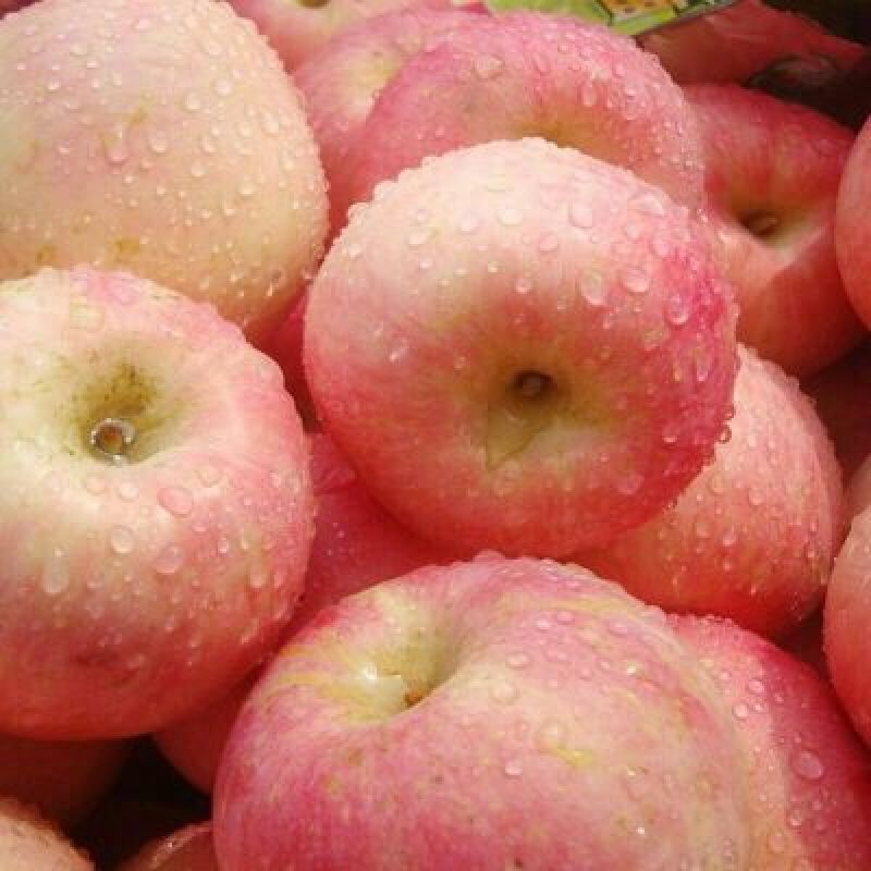 红富士苹果75mm以上膜袋