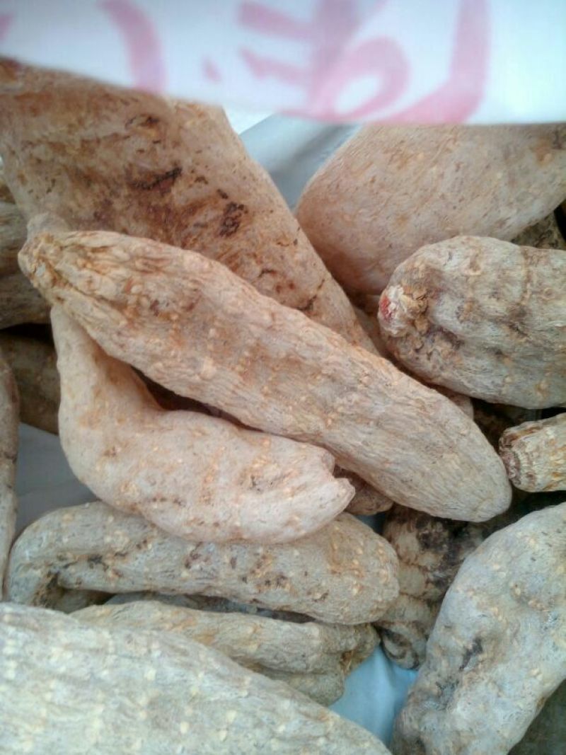 天麻特级