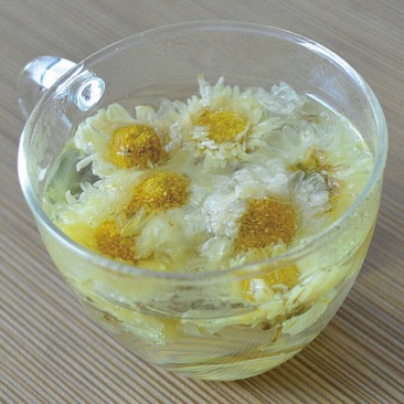 杭州白菊