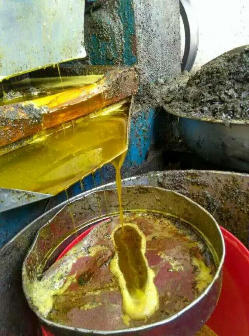 压榨菜籽油一级