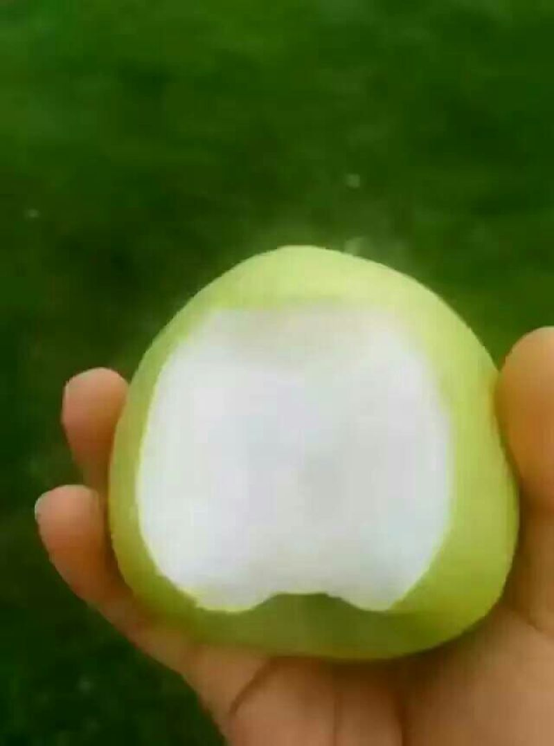 酥梨250~300g光果