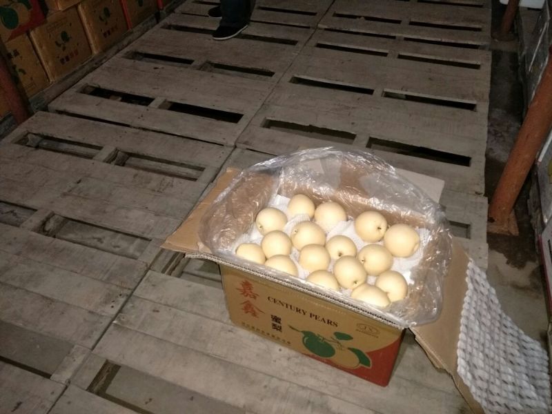 皇冠梨250~300g纸袋