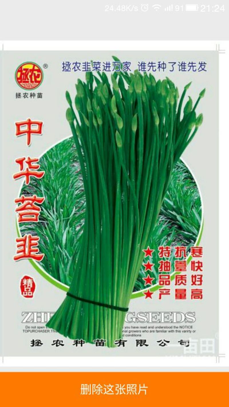 韭菜花种子95%以上