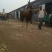 伊犁马300~400kg