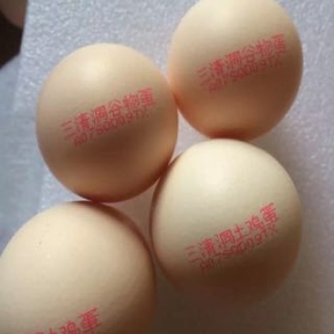 鸡蛋