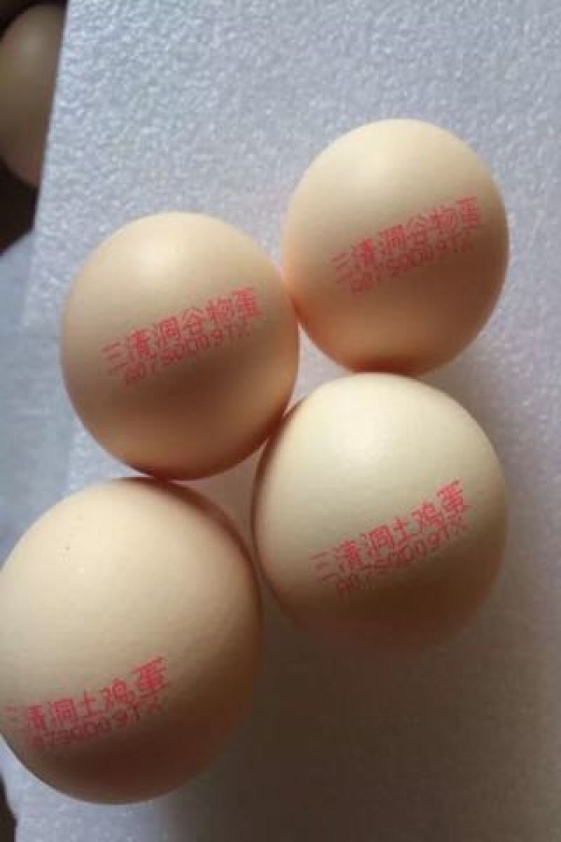 鸡蛋