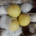 皇冠梨250~300g纸袋