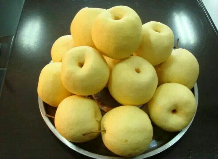 蒲城酥梨陕西渭南蒲城县_批发_供应-一亩田农