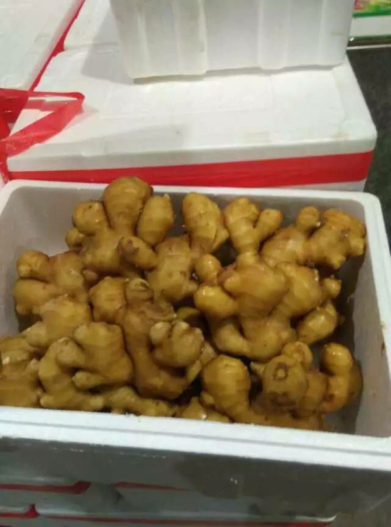 面姜
