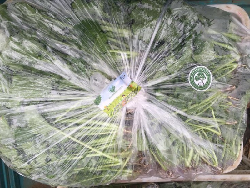 青菜