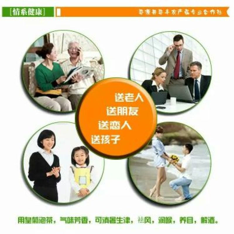 皇菊茶四级