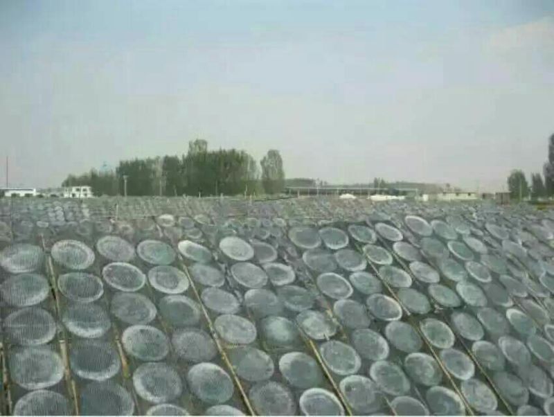 红薯粉皮