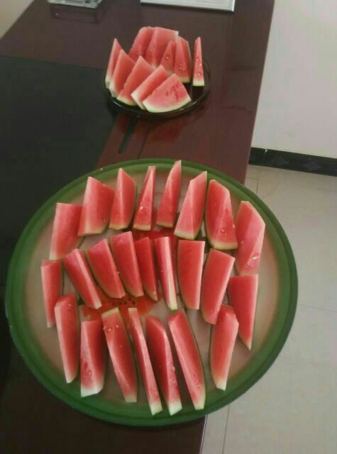 甘肃庆阳市西峰区8424西瓜 5斤打底 9成熟 2茬