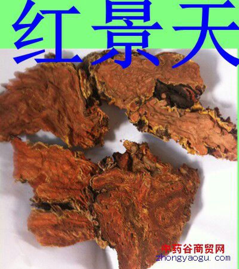 红景天