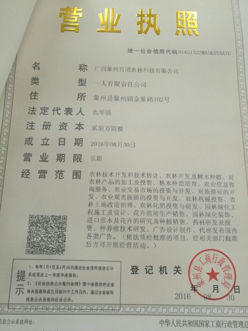 红火箭紫薇1~2米2~4cm1.5~2米