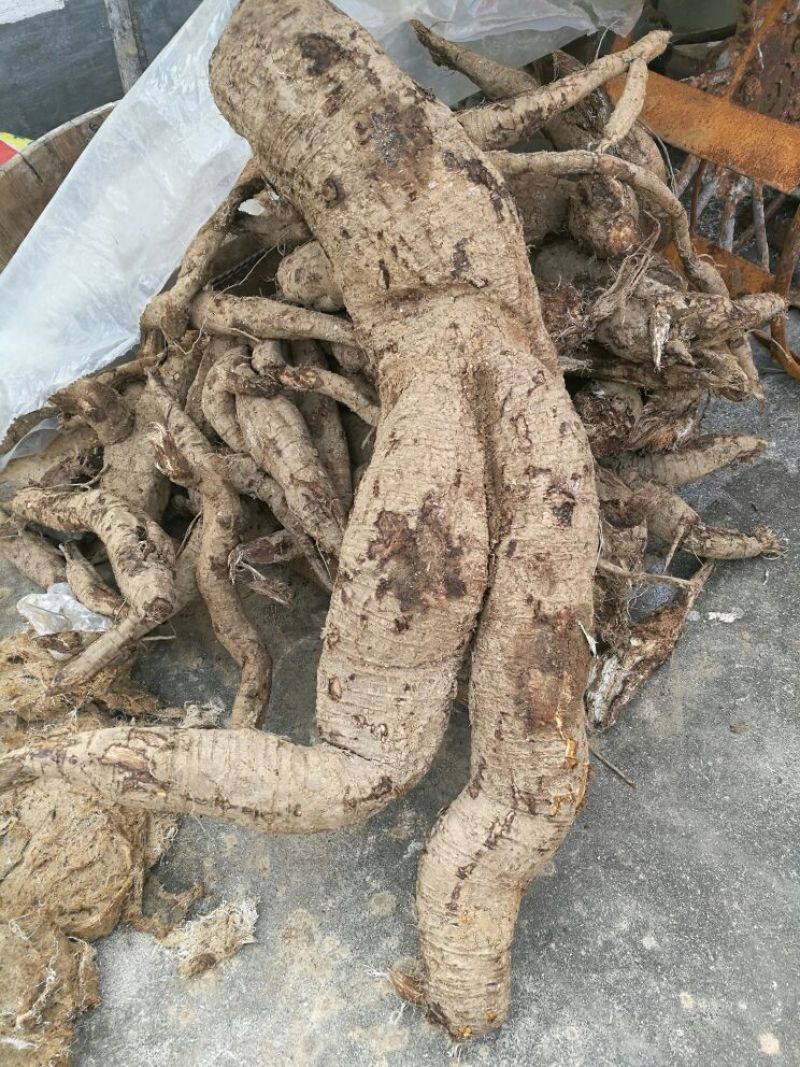葛根粉