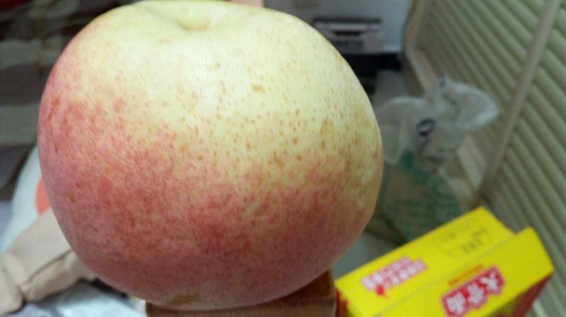 红香酥梨400~450g纸箱