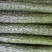 黄瓜18~22公分鲜花带刺