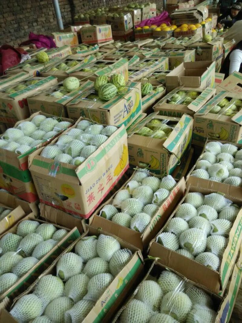 西州蜜，小蜜25,预售3月中旬