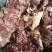 驴肉