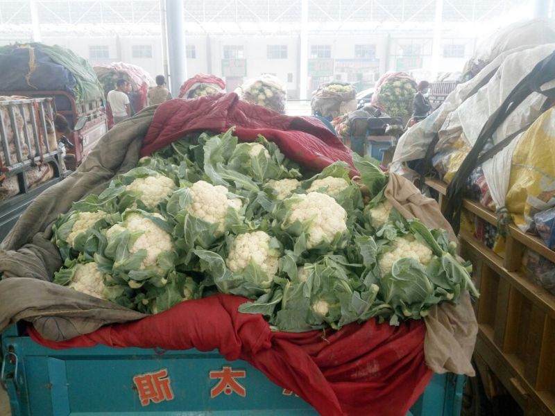 菜花1斤适中乳白