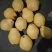 香蕉梨300~350g纸袋