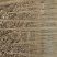 107杨树261~300cm