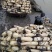 【优选】莲藕产地湖北荆州洪湖市合作社供应质量保证