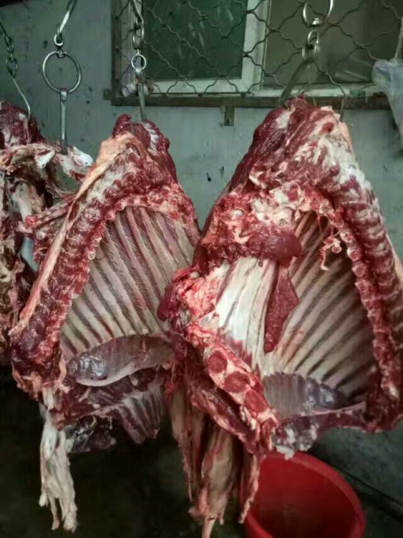 驴肉鲜货