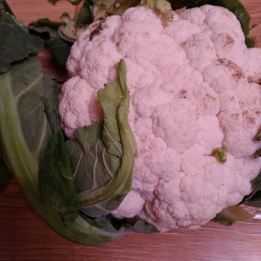 白花菜散装