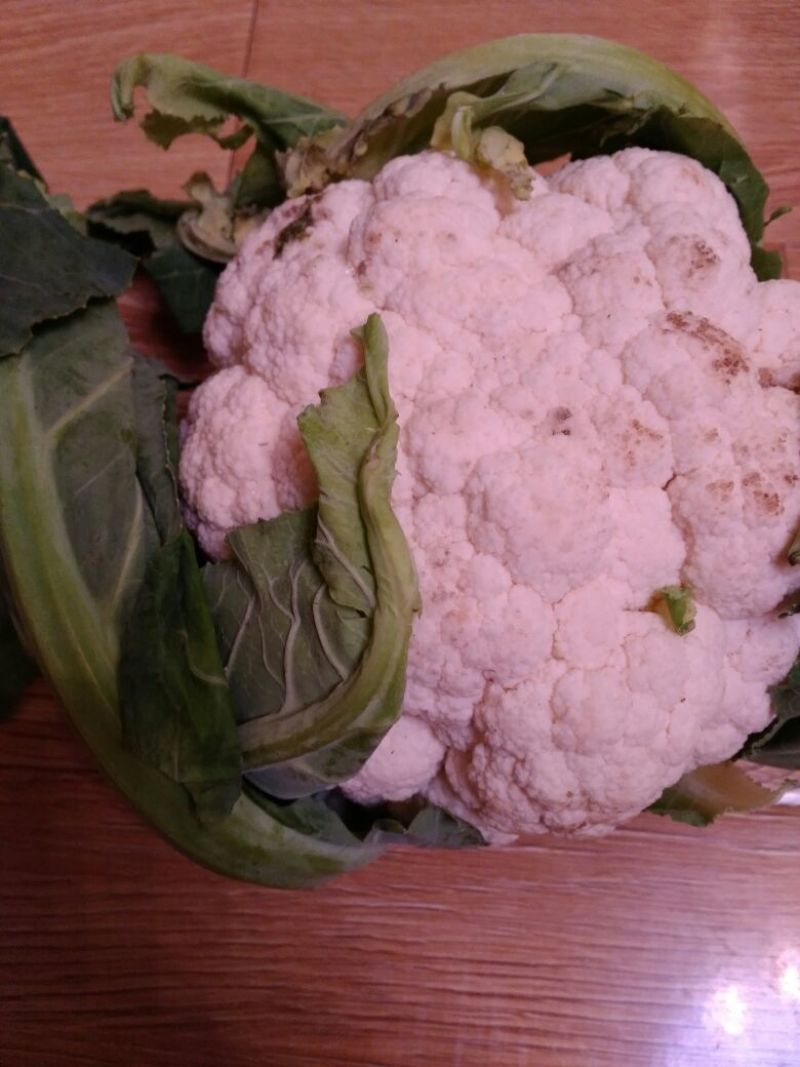 白花菜散装