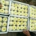 砀山梨200~250g光果