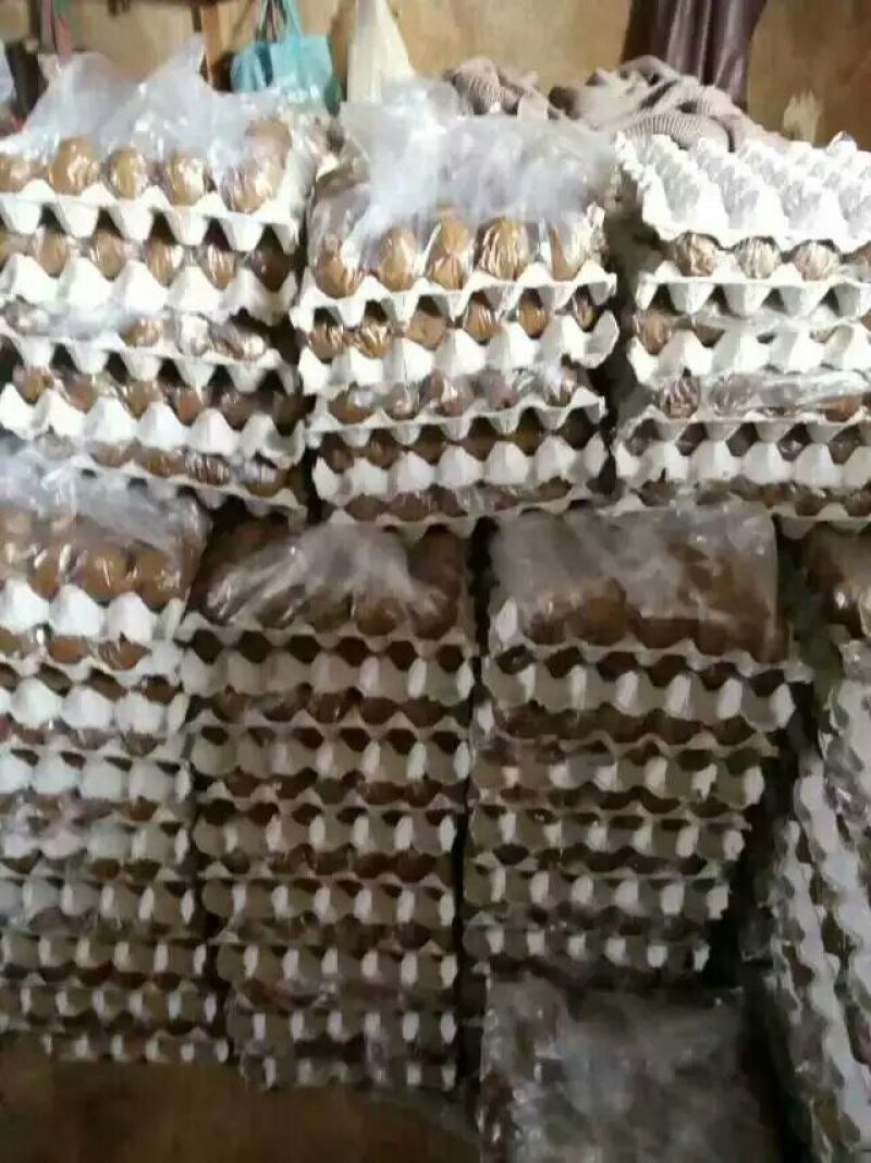 辽宁省丹东市宽甸满族自治县鸭绿江边散养鸭蛋土鸭蛋食用
