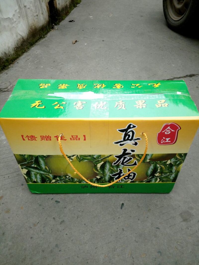 真龙柚单枚2斤以上【量大可优】