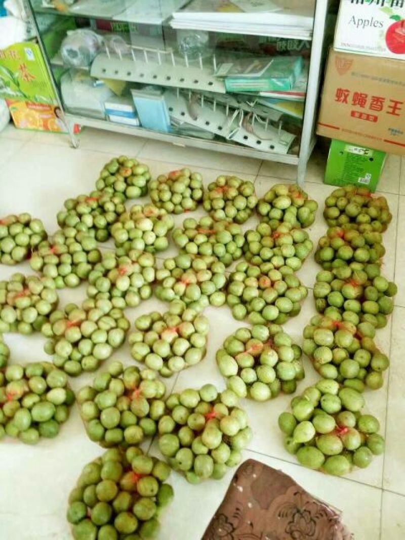 青皮核桃青皮