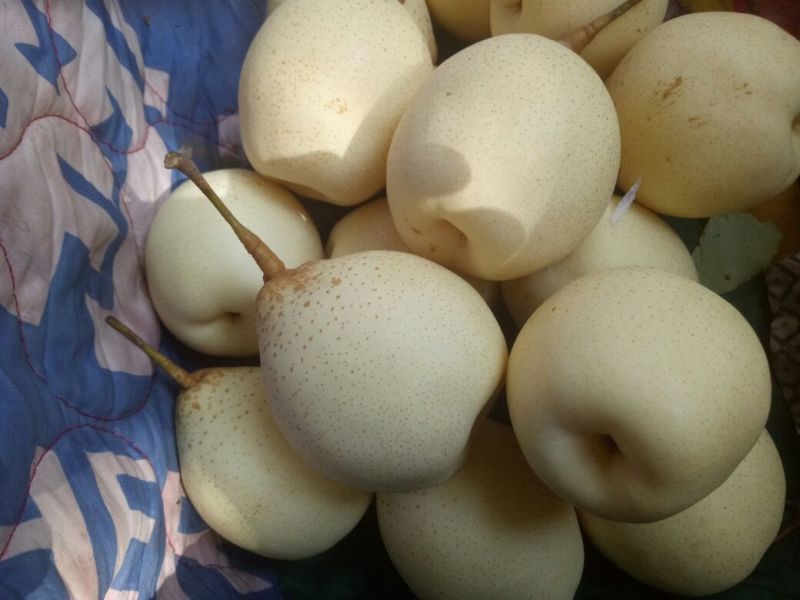 鸭梨纸箱