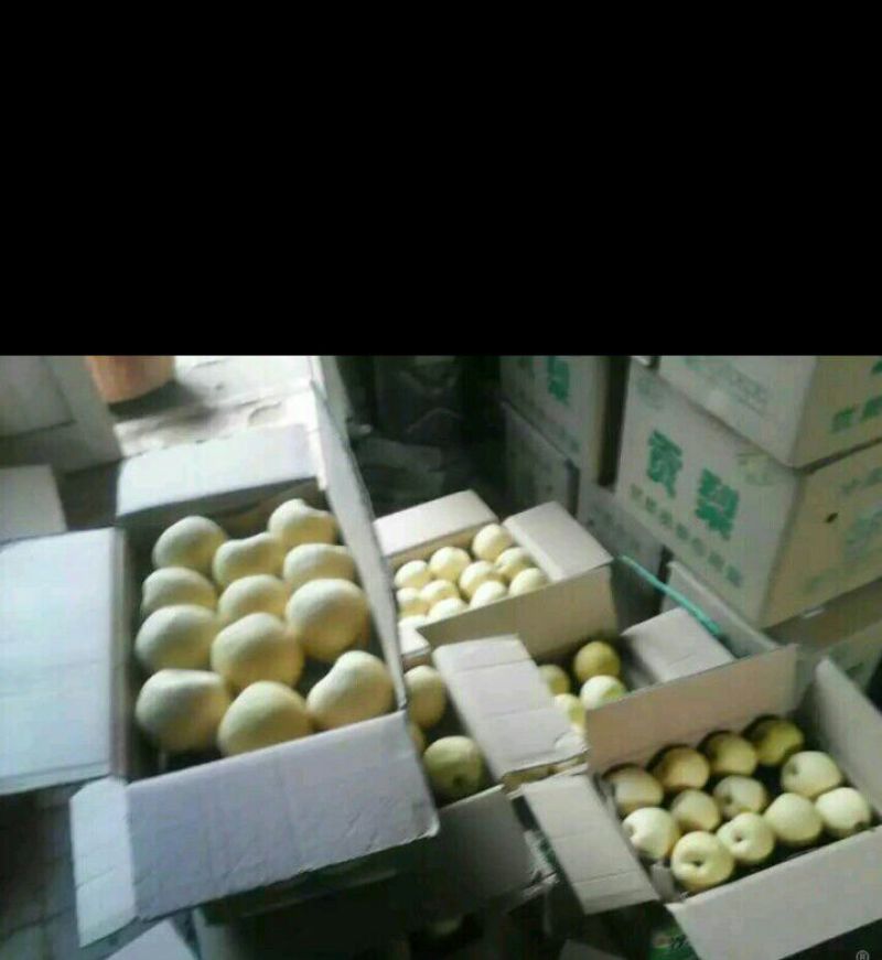 酥梨250~300g纸箱