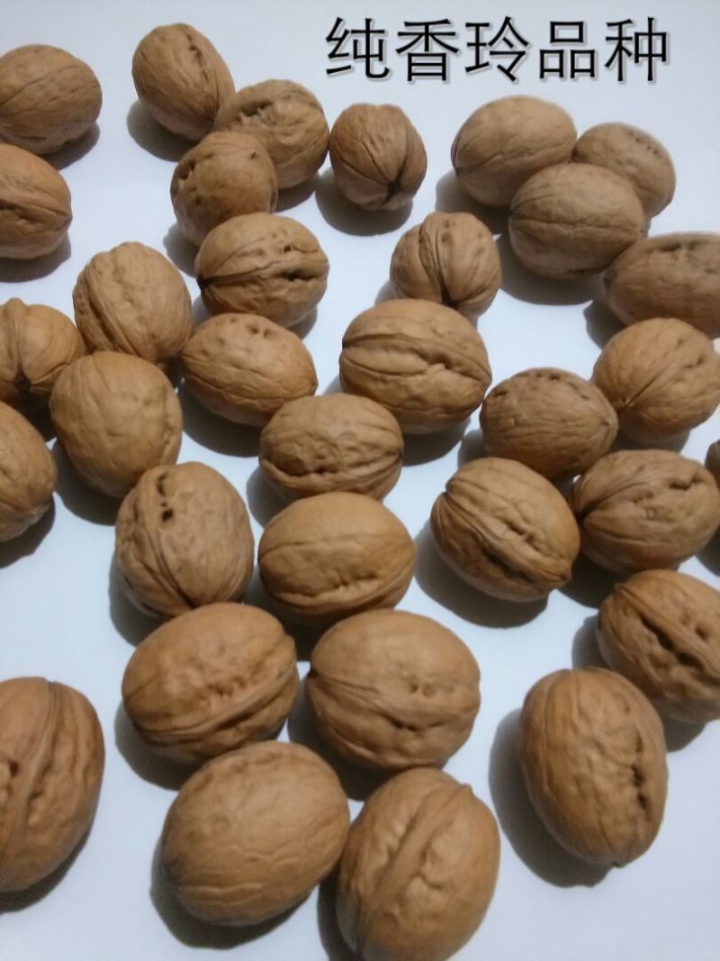 香玲核桃30mm以上去皮