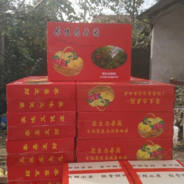 砀山梨300~350g纸箱