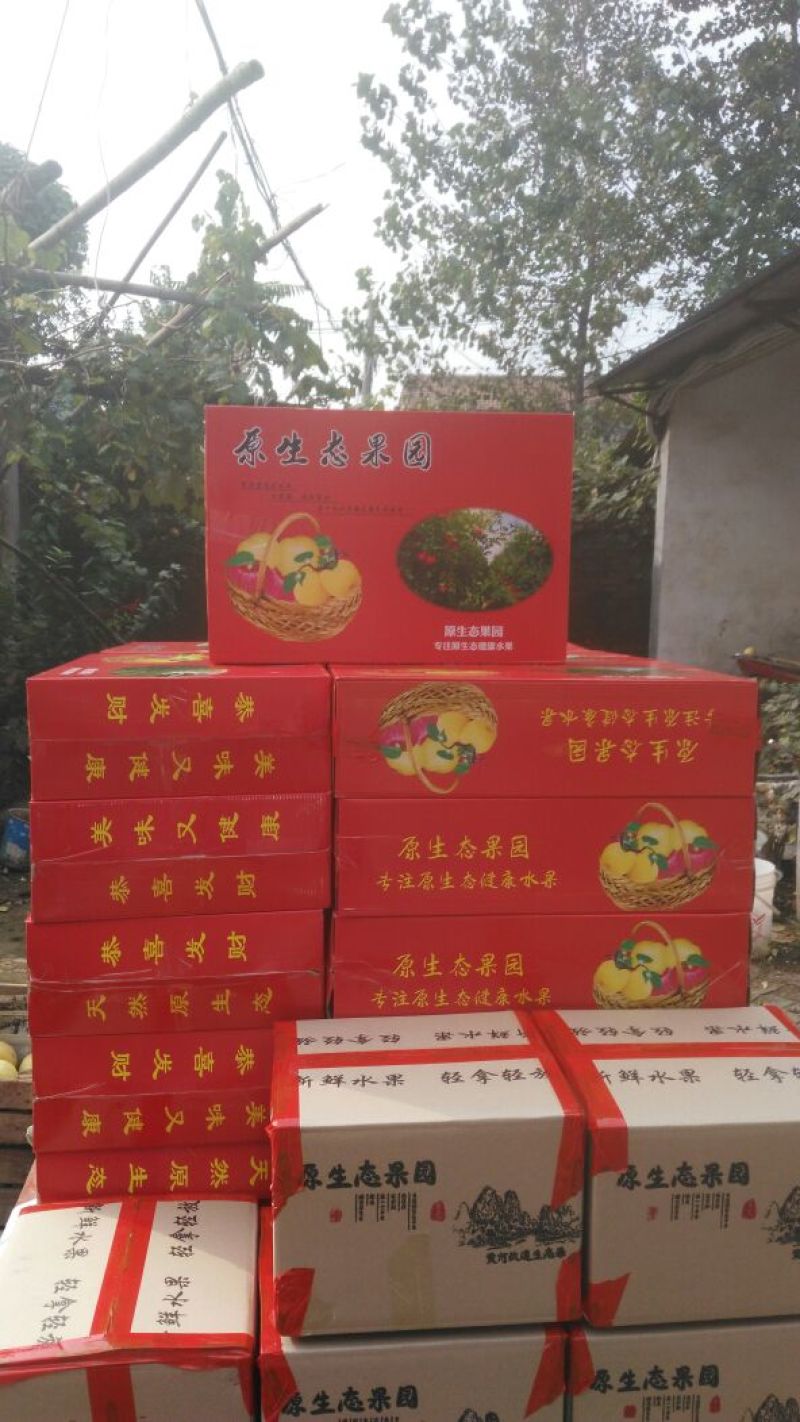 砀山梨300~350g纸箱