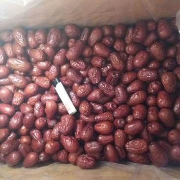 新疆红枣干枣三级