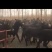 肉驴